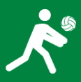 Sand Volleyball